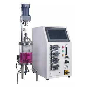 скляний ферментний реактор