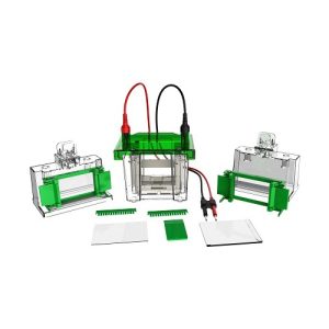 міні-вертикальна електрофорезна комірка