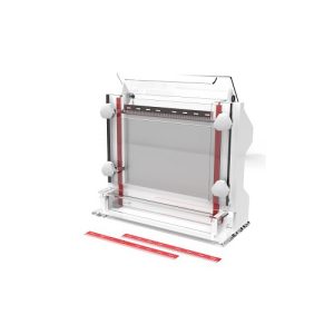 електрофорез для секвенування нуклеїнових кислот клітина